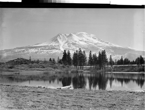 Mt. Shasta, Calif