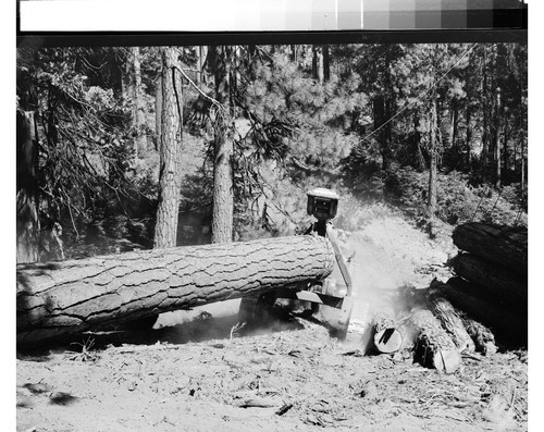 Moonlight Logging