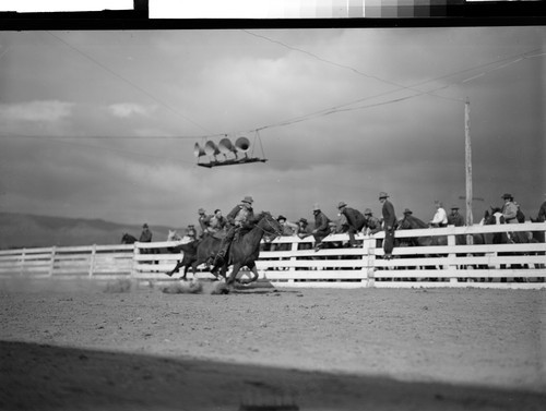 Roping pictures