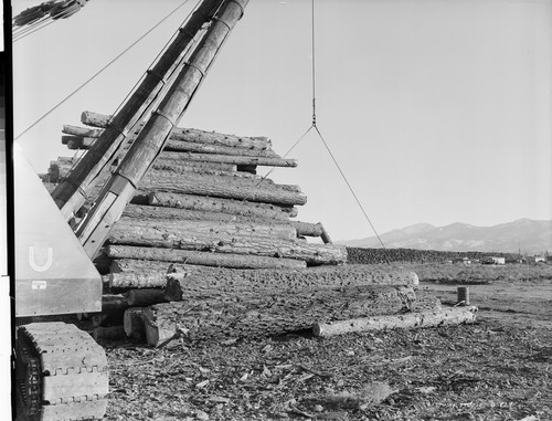 Paul Bunyan Log Deck