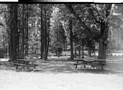 Picnic Grounds at Burney Falls, Calif