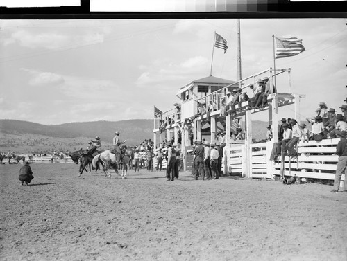 Susanville Fair & Rodeo