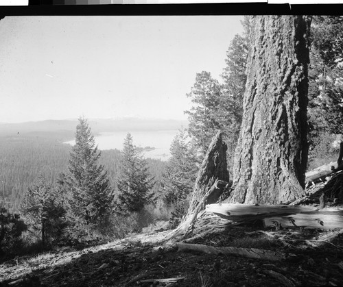 Lake Almanor, Calif