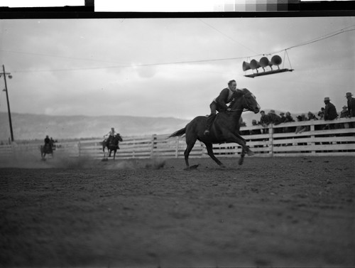 Roping pictures