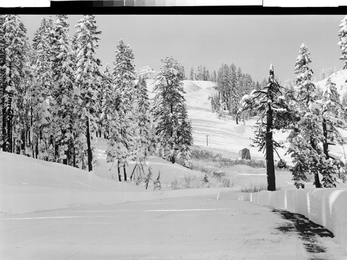 Ski Area in Lassen Park, Calif