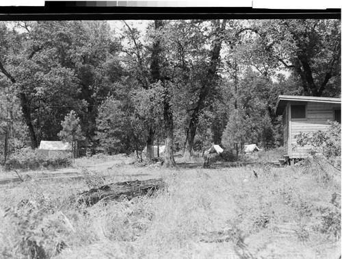 Tent Area, Lair of the Golden Bear, Calif