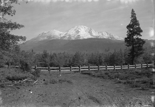 Mt. Shasta, Calif