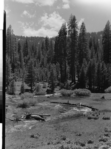 On the North Fork of Yuba River, Calif