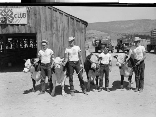 Livestock