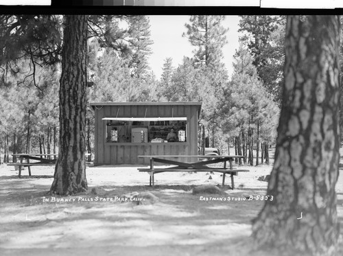 In Burney Falls State Park, Calif