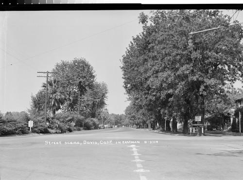 Street scene, Davis, Calif