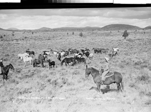 In Devils Garden, Fort Rock, Oregon