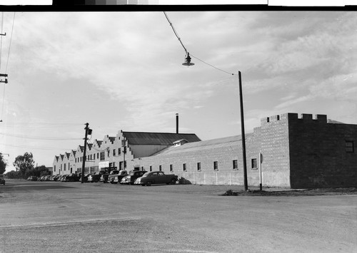 Maywood Olive Plant at Corning, Calif