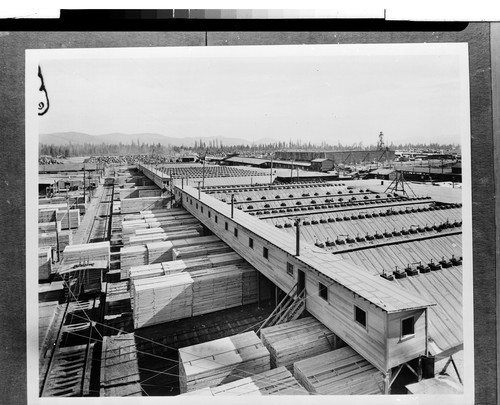 Dry Kilns of the Red River Lumber Co. at Westwood, Calif