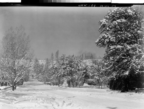 Cottage St. looking West. Susanville, Cal