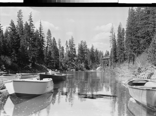 At Lassen View Camp, Lake Almanor, Calif