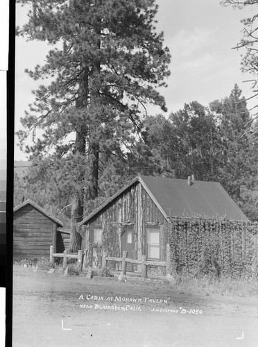 "A Cabin at Mohawk Tavern" near Blairsden, Calif