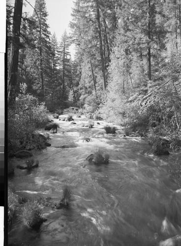 Burney Creek, Near Burney Falls, Calif