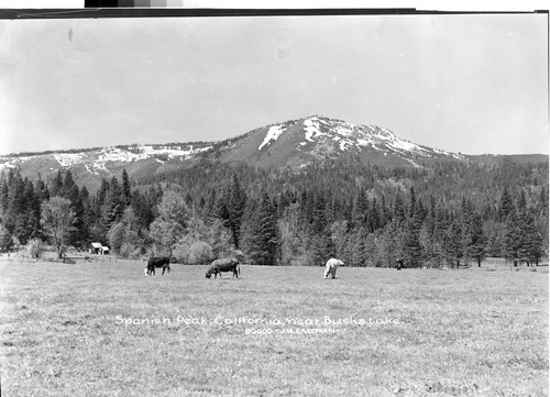 Spanish Peak, California, near Bucks Lake