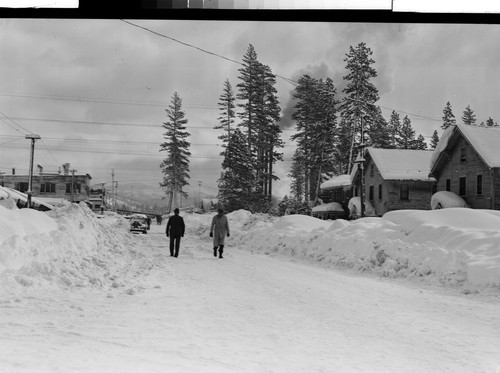 Unused Negatives of Westwood in Winter