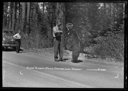 Please! Mister Along "Klamath Falls-Crater Lake Highway"