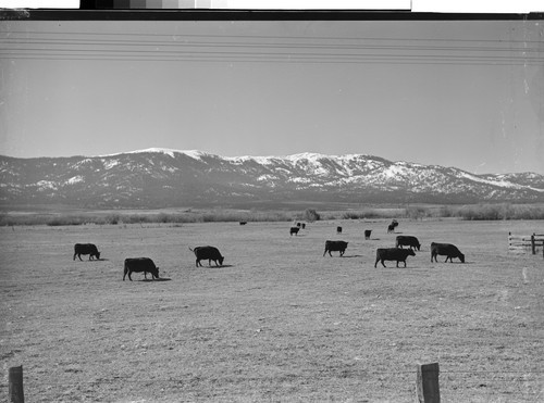 Honey Lake Valley, near Susanville, California