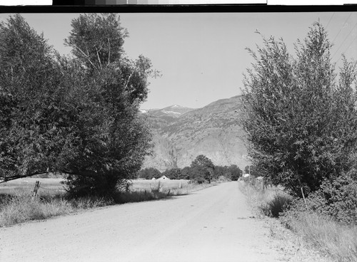 Surprise Valley, Calif