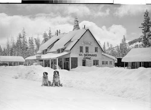 At St. Bernard Lodge, Mill Creek, Calif