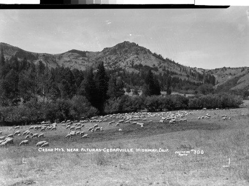 Cedar Mt's. Near Alturas-Cedarville Highway, Calif