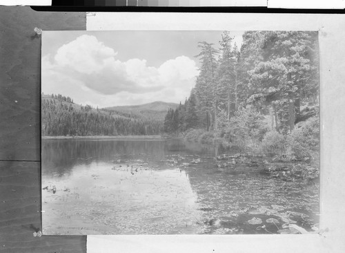 Willow Lake Plumas Co