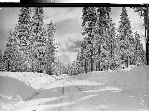 Susanville-Red Bluff Highway, Calif