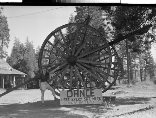 Big Wheel Shingletown