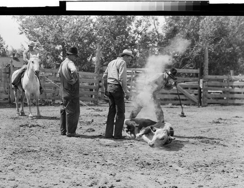 Modoc County