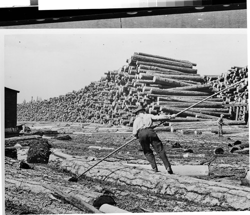 Pond and Log Deck at Westwood, Calif