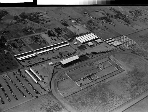 Susanville Fair & Rodeo--Air Shots