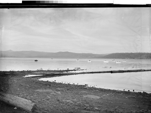 Fishing at Lake Almanor, Calif