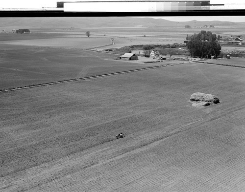 Tule Lake Farm