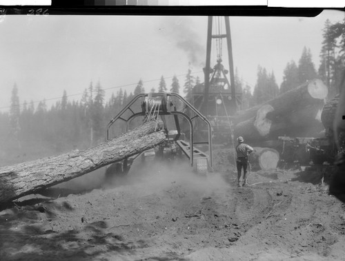 Logging Near Westwood