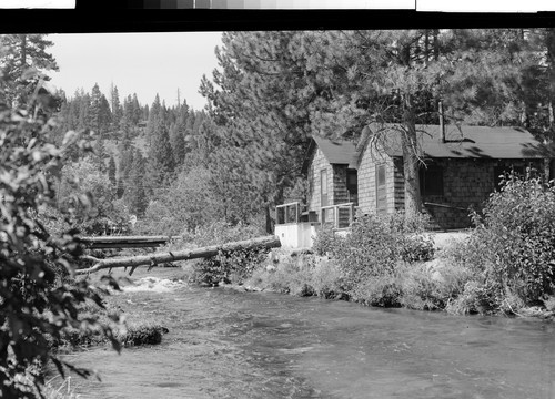 Cabins at Art Young's Resort, Old Station, California