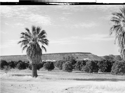 Table Mountain and Orange Grove near Oroville, Calif