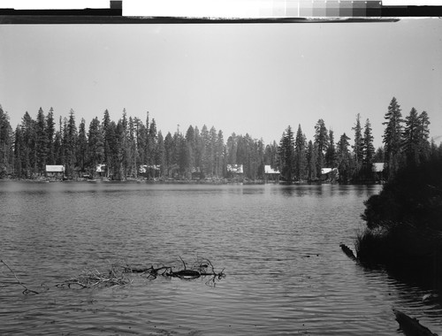 Silver Lake Negatives