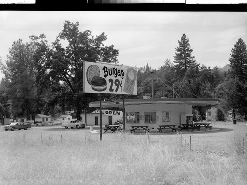 The Buffalo Ranch, near Redding, Calif