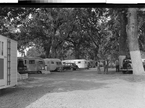 Shady Oaks Trailer Park, Chico, Calif