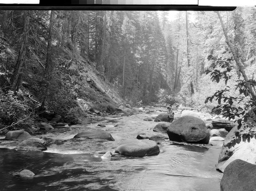 Creek Scenes