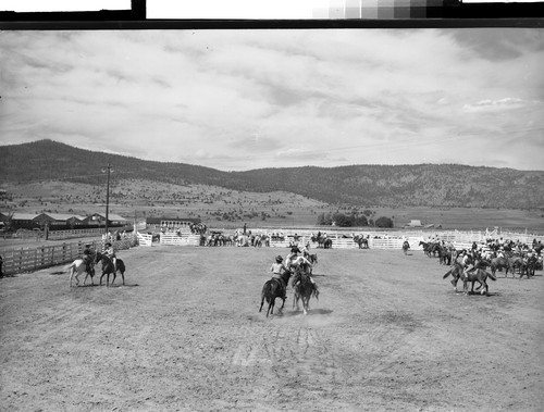 Susanville Fair & Rodeo