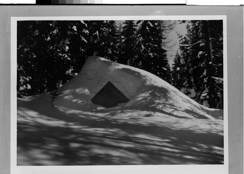 Cabin at Haskins Valley Resort, Bucks Lake, Calif