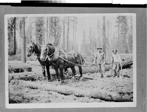 Early Day Logging at Happy Camp, Calif