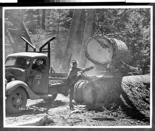 Loading logs