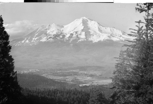 Mt. Shasta