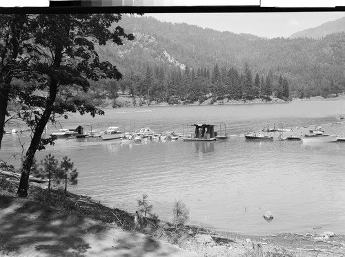 Point McCloud Resort, Shasta Lake, Calif